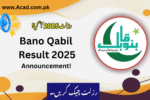 Bano Qabil Result 2025 Announced | banoqabil.pk