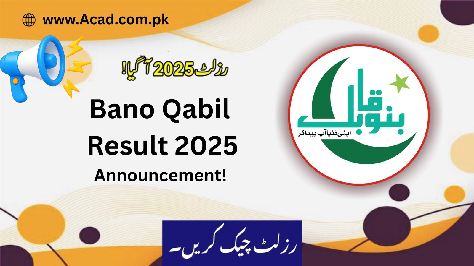 Bano Qabil Result 2025 Announced | banoqabil.pk