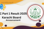 SSC Part 1 Result 2025 Karachi Board Science Group | bsek.edu.pk