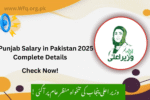 CM Punjab Salary in Pakistan 2025 Complete Details